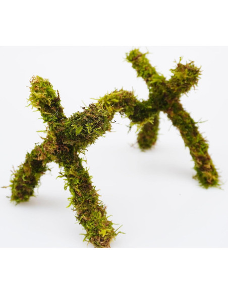 Juguete de Escalada para Cangrejo Ermitaño Jinymral 15 cm