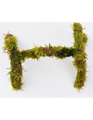 Juguete de Escalada para Cangrejo Ermitaño Jinymral 15 cm