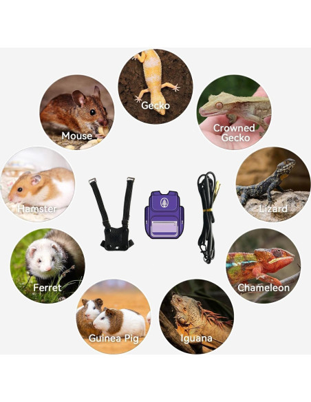 Arnés para Dragón Barbudo FORZENA con Correa y Mochila Arnés para Dragón Barbudo FORZENA con Correa y Mochila