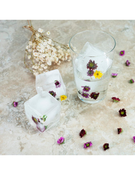 Bandejas de Hielo de Silicona Samuelworld - Combo 4 Esferas y 6 Cubos