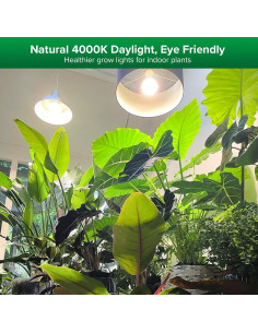 Bombilla de Crecimiento SANSI 10W Espectro Completo 4000K 2