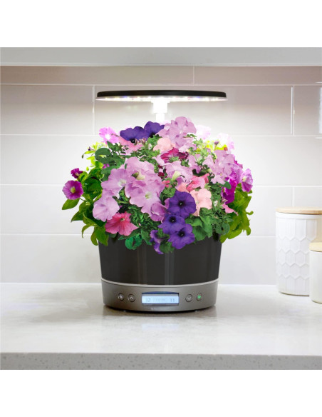 AeroGarden Harvest Elite 360 Jardín Hidropónico Interior Platino AeroGarden Harvest Elite 360 Jardín Hidropónico Interior Platino