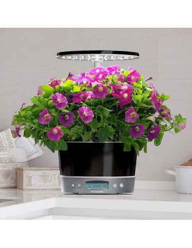 AeroGarden Harvest Elite 360 Jardín Hidropónico Interior Platino