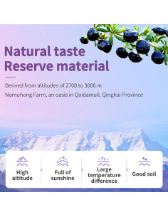 Purés de Fruta de Baya Goji 100% Puro - Xi Yue 300ml (20x15ml) 2