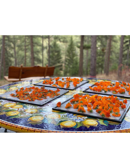 Aceite de Oliva Infundido de Caléndula Aromatics International 28ml