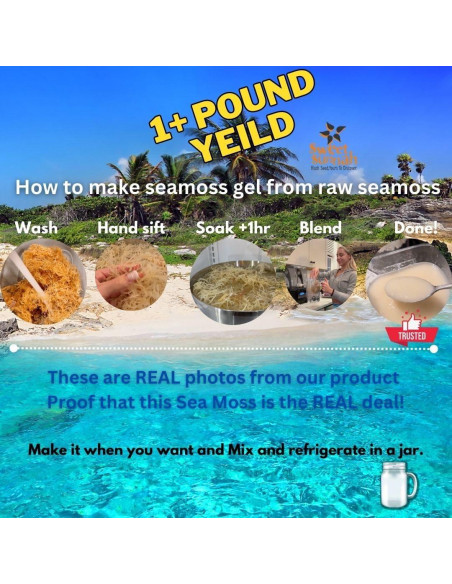 Musgo Marino Irlandés 100% Natural Sweet Sunnah - 227g