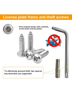 Kit de Tornillos Antirrobo para Placas de Licencia LKAHG Plata 2