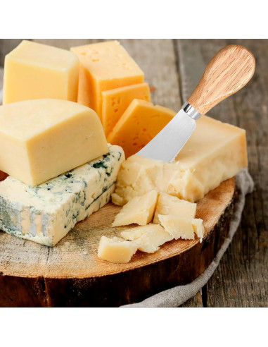 Set de 4 Cuchillos para Untar Queso Siutaga 12.3 cm Acero Inoxidable