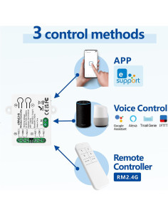Interruptor Inteligente WiFi DieseRC EW2202 2 Canales 10A 2