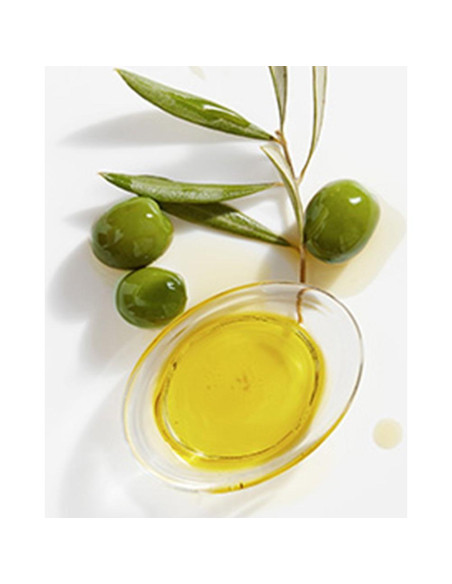 Champú Reponedor Garnier Whole Blends Aceituna 650 ml