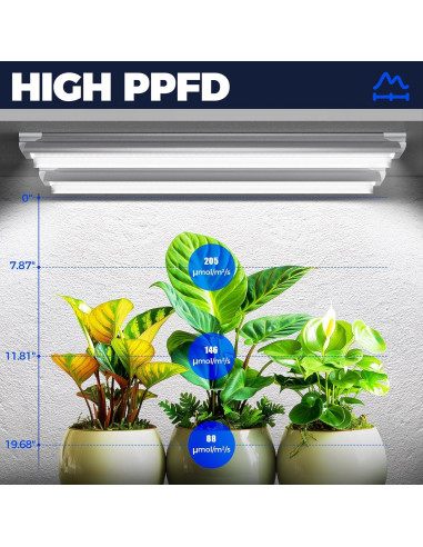 Luces de Cultivo Barrina T8 2FT 5000K Espectro Completo 144W