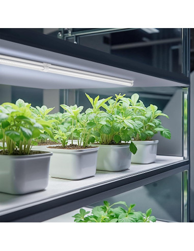 Luces de Cultivo Barrina T8 2FT 5000K Espectro Completo 144W