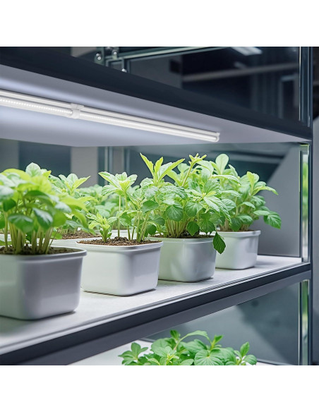 Luces de Cultivo Barrina T8 2FT 5000K Espectro Completo 144W