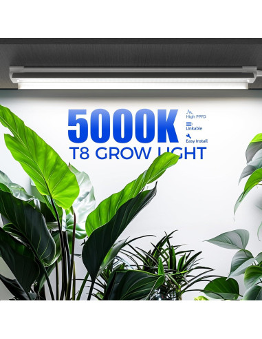 Luces de Cultivo Barrina T8 2FT 5000K Espectro Completo 144W