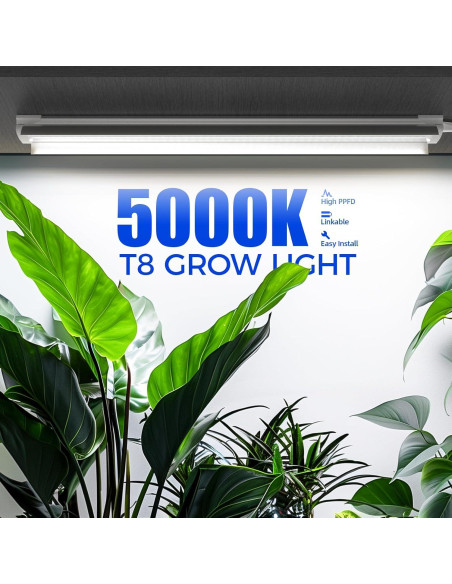 Luces de Cultivo Barrina T8 2FT 5000K Espectro Completo 144W