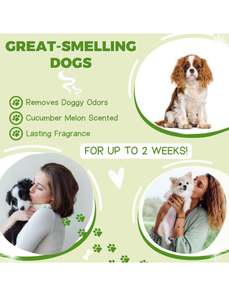 Champú y Acondicionador 2 en 1 Alpha Dog 1 Galón Aloe Vera