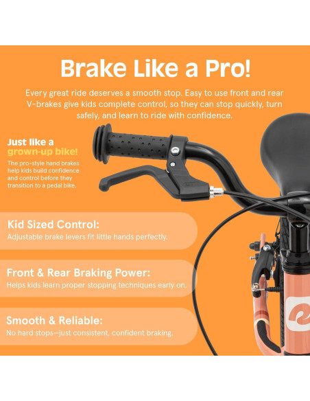 Bicicleta de Equilibrio Retrospec Cub Plus XL Rosa 14"