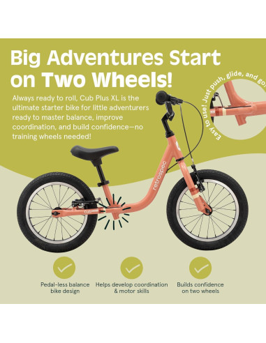 Bicicleta de Equilibrio Retrospec Cub Plus XL Rosa 14"