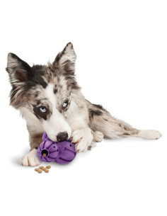 Juguete dispensador de golosinas PetSafe Barnacle Mediano