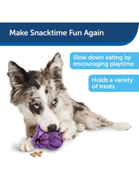 Juguete dispensador de golosinas PetSafe Barnacle Mediano