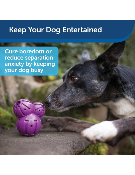 Juguete dispensador de golosinas PetSafe Barnacle Mediano