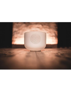 Cuenco de Canto de Cristal Meinl 20.32 cm 432 Hz Flor de la Vida 2