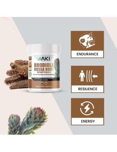 Polvo de Raíz de Rhodiola Rosea AKI 55g - Sin Aditivos
