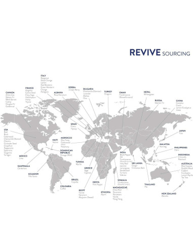 Aceite Esencial de Eucalipto Azul 10mL REVIVE - 100% Puro Terapéutico