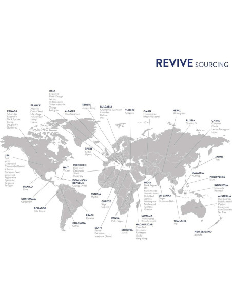 Aceite Esencial de Eucalipto Azul 10mL REVIVE - 100% Puro Terapéutico