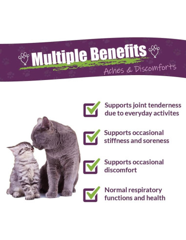 Suplemento Herbal Adizone C Amber NaturalZ para Gatos 28g