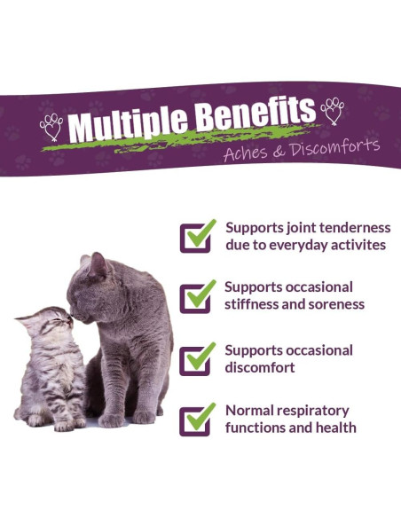 Suplemento Herbal Adizone C Amber NaturalZ para Gatos 28g