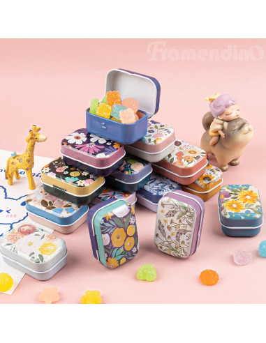 Framendino 5 Pack Mini Cajas de Hojalata con Tapa Floral