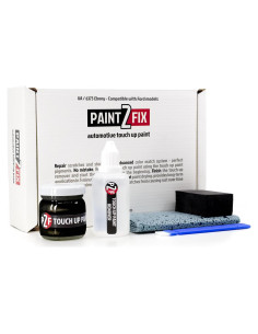 Kit de Pintura de Toque PAINT2FIX UA/6373 para Ford - 40ml