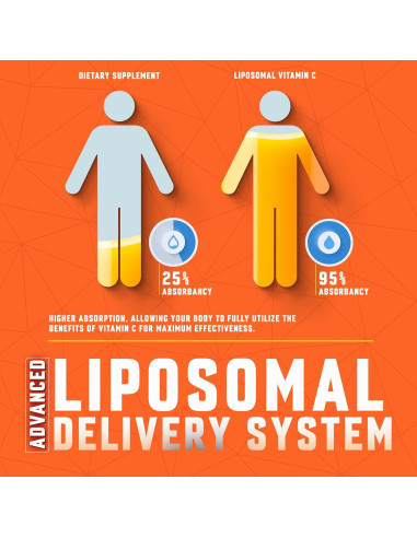 Líquido de Vitamina C Liposomal 6000mg Basic Greens - 60ml