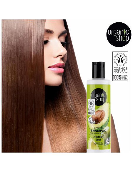 Champú y Acondicionador Orgánico Aguacate Eurobio Lab 2x250ml