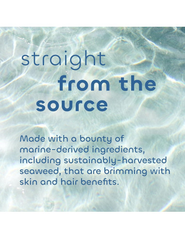 Acondicionador Suave Seaweed Bath Co. 340g Sin Fragancia