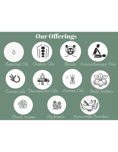 Aceite Esencial de Pimiento Paprika Puro Greenwood 10ml