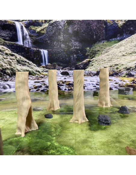 Conjunto de Árboles de Haya y Bosque Carbonizado 11.4x10.8 cm