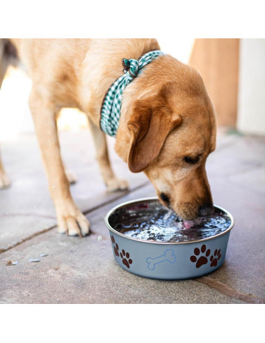 Cuenco Antideslizante para Perros y Gatos Loving Pets 17cm Arándano