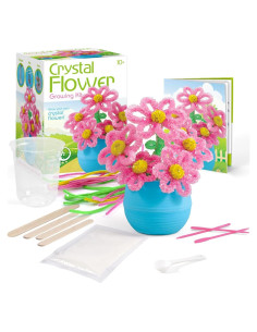 Kit de Crecimiento de Cristales EggBox - Experimentos Científicos