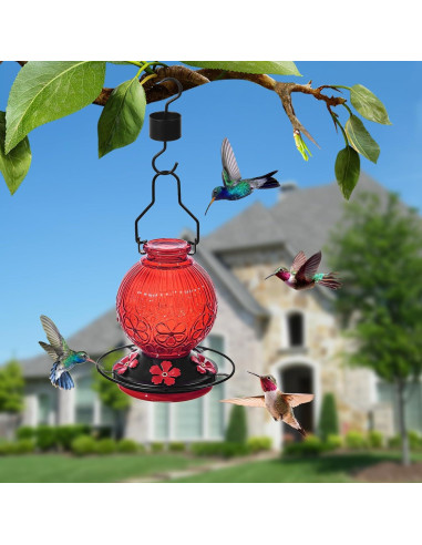 Comedero de colibrí Aubingmotor 0.68kg vidrio rojo colgante