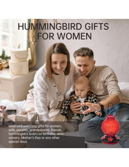 Comedero de colibrí Aubingmotor 0.68kg vidrio rojo colgante