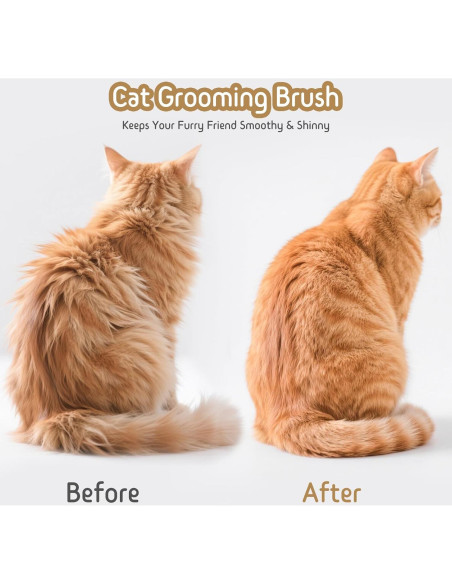 Cepillo Deshedding 2 en 1 Barkitty para Perros y Gatos - Longitud Ajustable