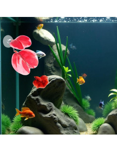 4 Hamacas de Hoja para Betta Yuanchu - Accesorios Acuario 2