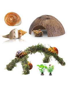 Accesorios para Cangrejo Ermitaño RUNANIA 6 Pcs Musgo Natural