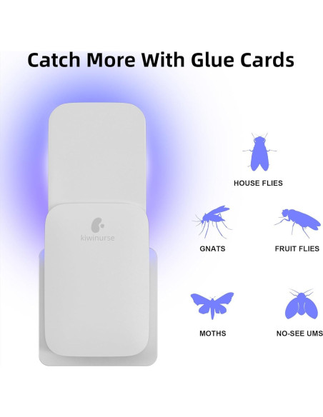 Recarga Tarjetas Pegamento Trampa Moscas Kiwinurse UVLA1001 - 10 Piezas