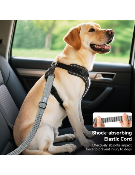 Cinturón de Seguridad para Perros Tivray Ajustable 68-82cm