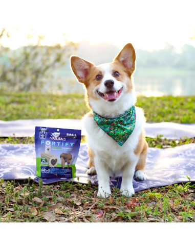 Pasta de Dientes Sin Cepillo ARK NATURALS 12oz para Perros Pequeños