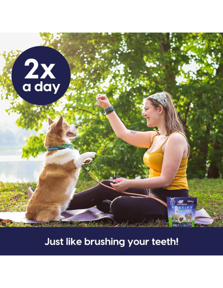 Pasta de Dientes Sin Cepillo ARK NATURALS 12oz para Perros Pequeños