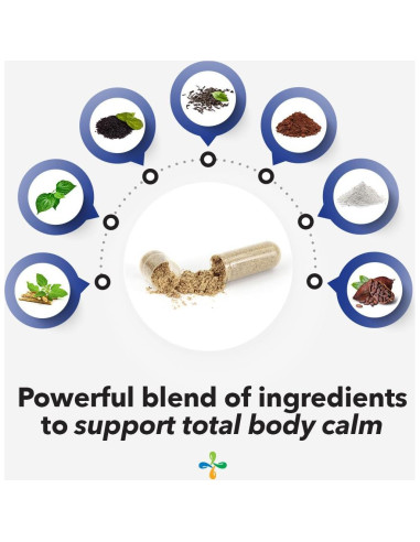 LifeSeasons Anxie-T Plus 120 Cápsulas - Apoyo Estado de Ánimo